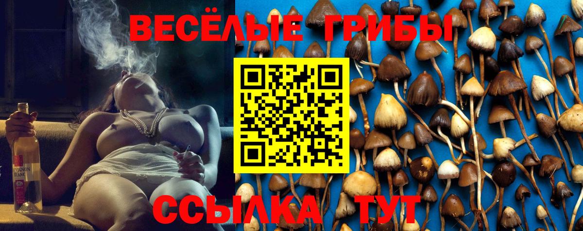 Псилоцибиновые грибы Psilocybine cubensis  закладки  Мытищи  Вход с VPN  Псилоцибиновые грибы MAGIC MUSHROOMS 