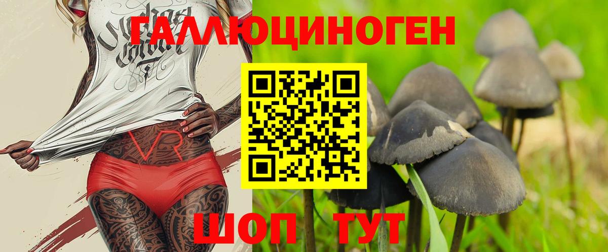 Псилоцибиновые грибы Cubensis Мытищи